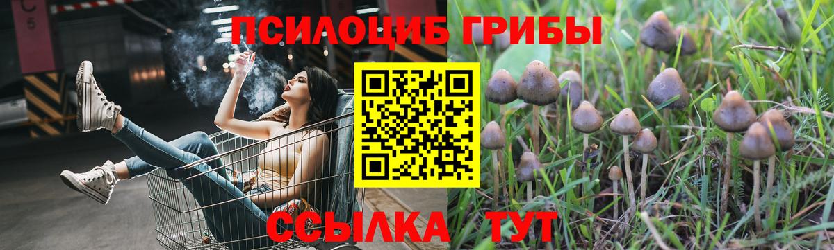 Псилоцибиновые грибы Magic Shrooms Череповец