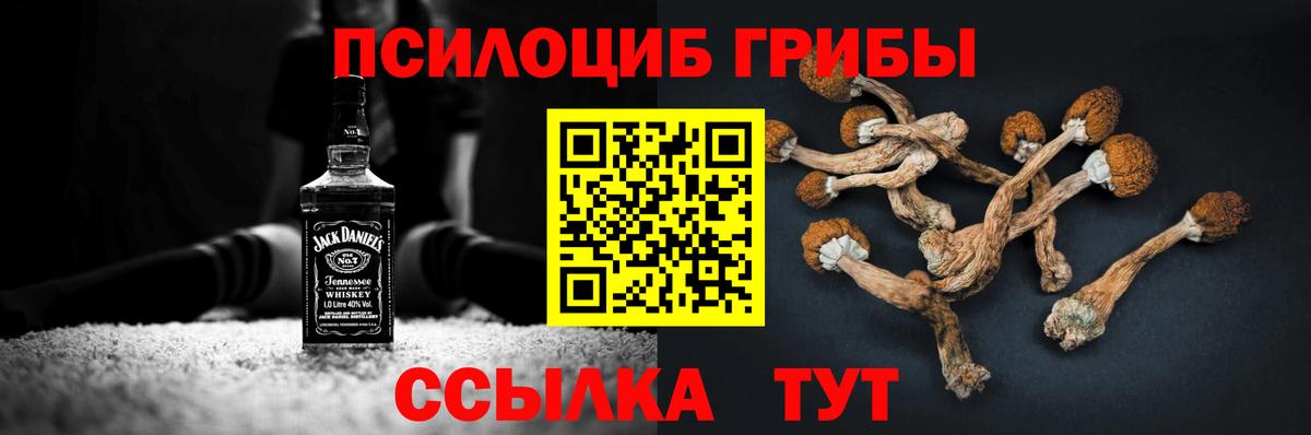 Псилоцибиновые грибы ЛСД  Вход с VPN  Череповец  Псилоцибиновые грибы Magic Shrooms 